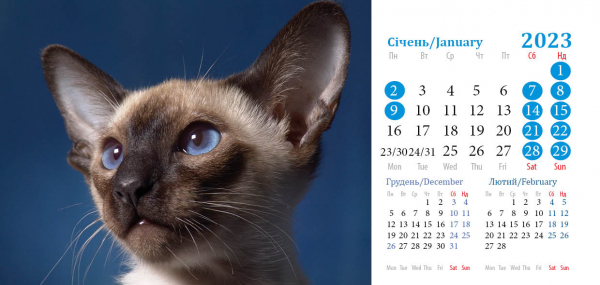 Блочки для календарів будиночків з котами на 2023 рік