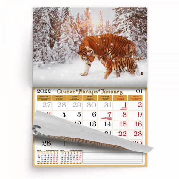 Настінний перекидний календар з фотографіями тигрів на 2022 р, купити оптом і в роздріб.